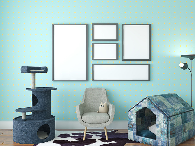 Un espace de vie avec un chat, présentant de nombreux arbres à chat et un lit moelleux pour les animaux de compagnie.